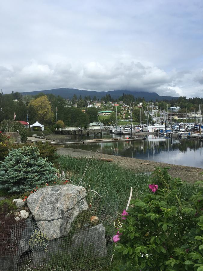 The Lucky Dog Bed And Breakfast Gibsons Exterior photo